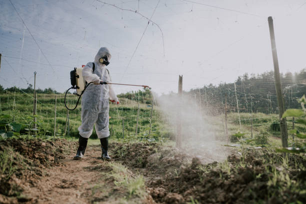 Best Pest Control for Homes  in Dunes City, OR