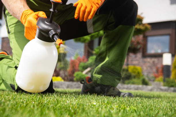 Best Spider Control Near Me  in Dunes City, OR