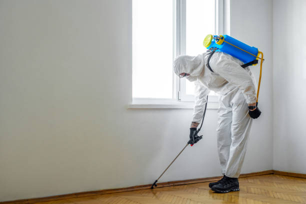 Best Termite Control Services  in Dunes City, OR