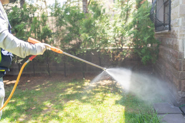 Best Pest Control Near Me  in Dunes City, OR