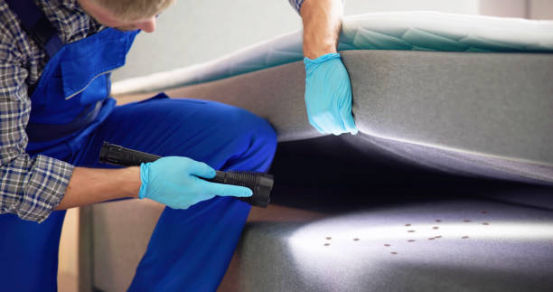 Best Emergency Pest Control  in Dunes City, OR