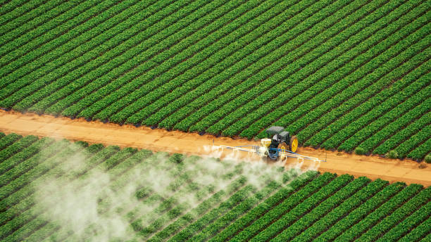 Best Best Pest Control Companies  in Dunes City, OR
