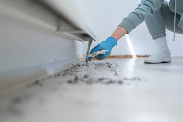 Best Mosquito Control Services  in Dunes City, OR
